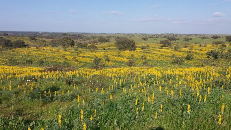 20170320_161224-scaled