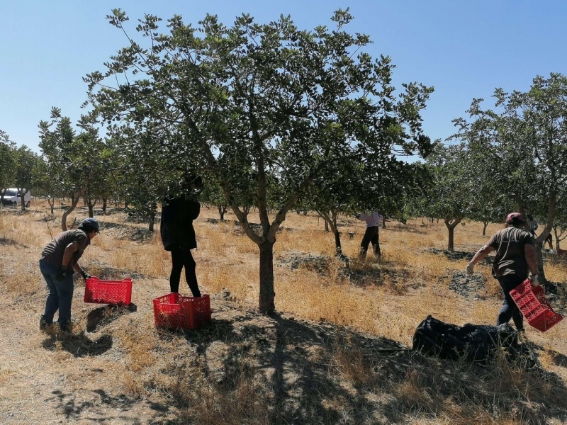 255FA4AC-C663-4821-90C1-07F52E9678F4