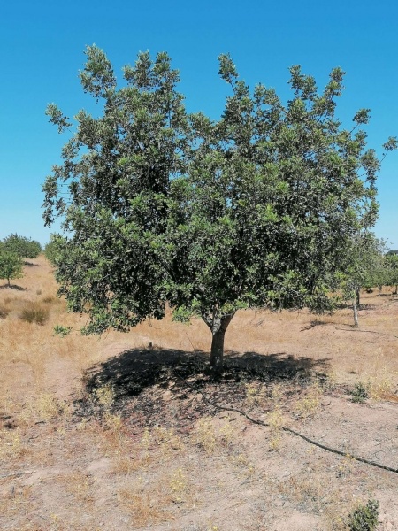 8F0B8C54-CDAF-4EA1-8E1F-DD6833F68CF1