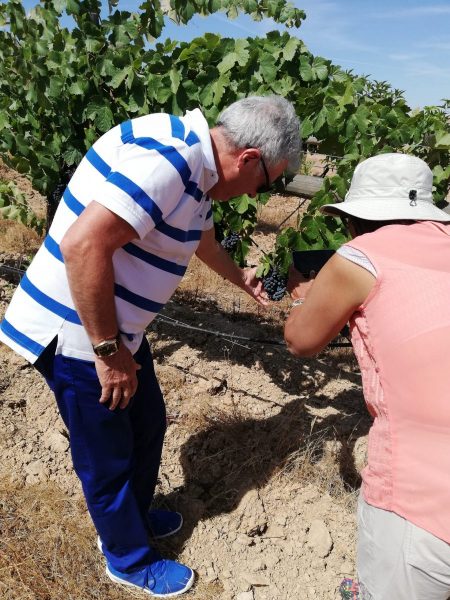 IMG_20190813_152039-scaled