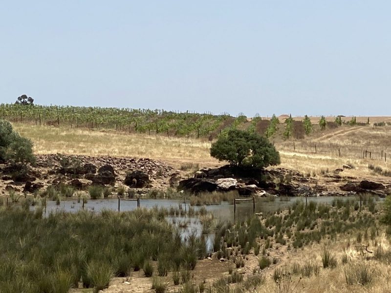 22ABB50C-FA5D-4EEE-971C-9D0CC8F180B3-scaled