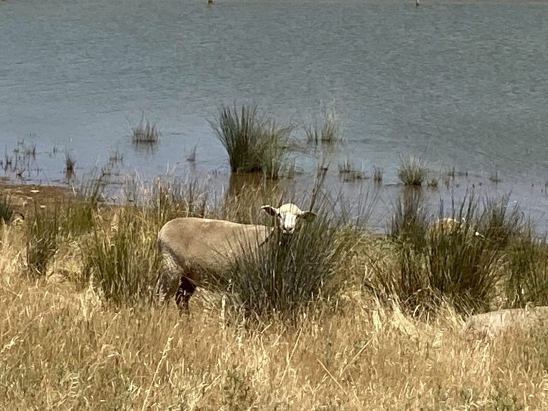 5F00465C-DCBF-46D7-B312-F3748A10B11B-scaled