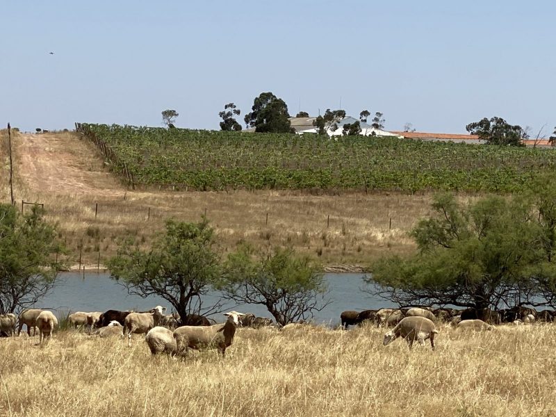 FDAD875E-DF51-45AD-9422-D979E4AF7708-scaled