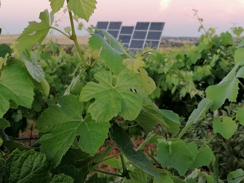 IMG_20200525_204054-scaled